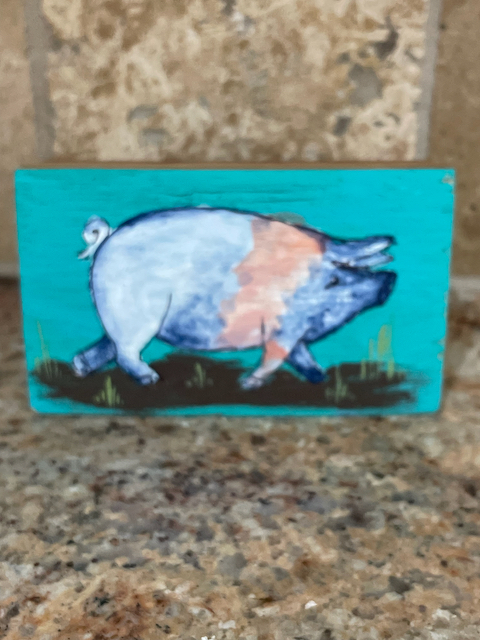 Image of pig drawing on a turquoise background. 
